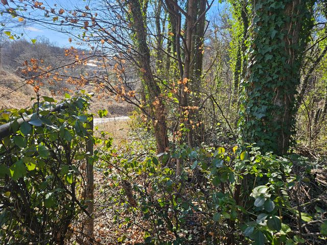 0 Navajo Drive, Chattanooga, TN 37411