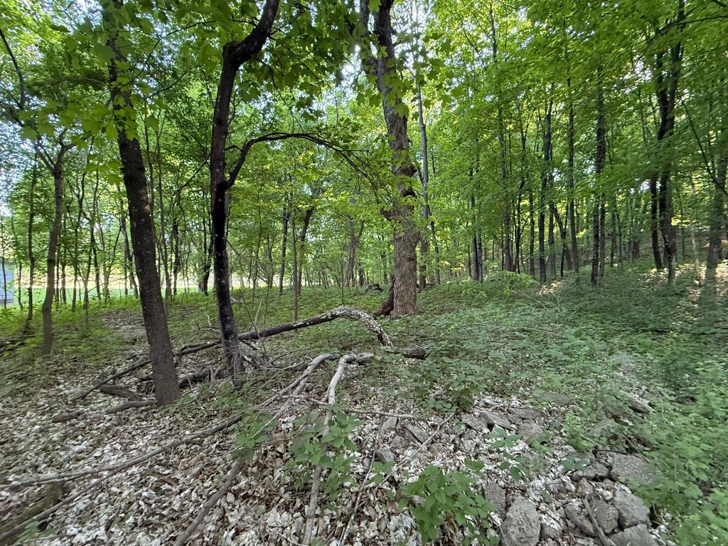 xxxx Jalger Avenue SE, Buffalo, MN 55313 — photo 4