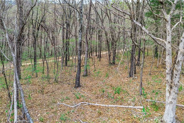 202 Silver Ridge Road, Eureka Springs, AR 72632