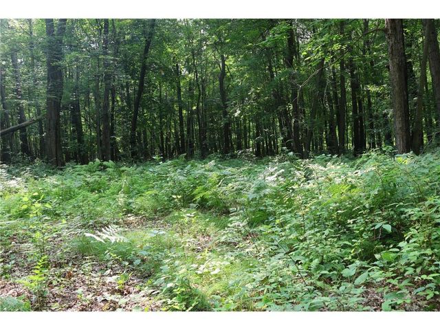 Lot 11 103rd Street, Frederic, WI 54837
