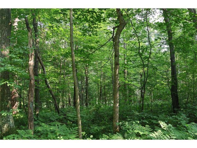 Lot 11 103rd Street, Frederic, WI 54837