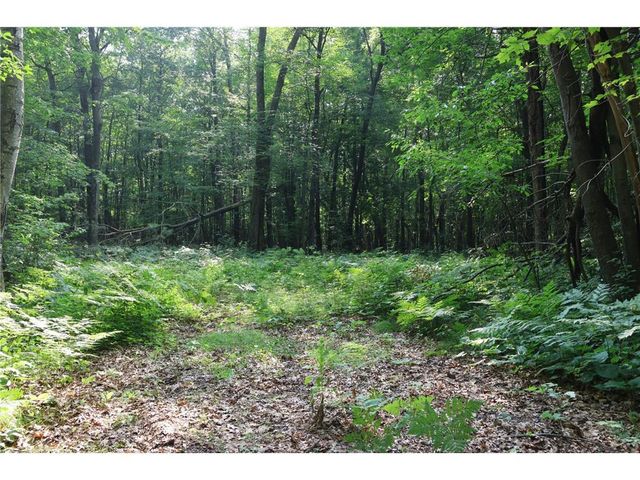 Lot 11 103rd Street, Frederic, WI 54837