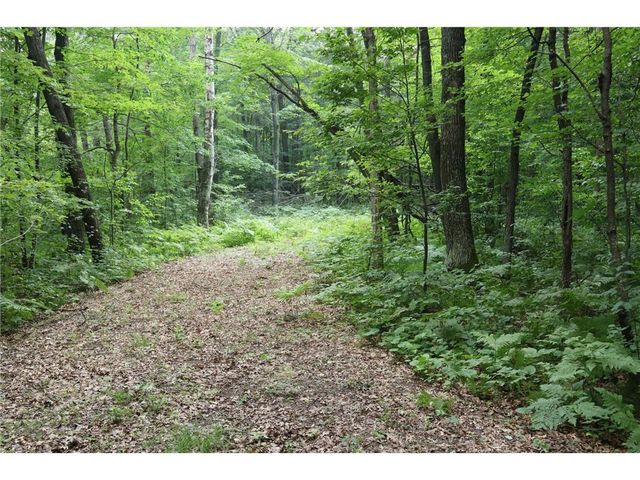 Lot 11 103rd Street, Frederic, WI 54837