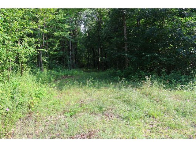 Lot 11 103rd Street, Frederic, WI 54837
