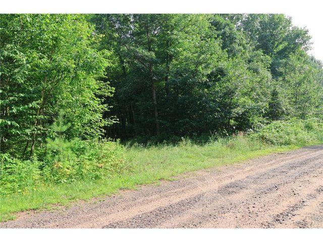 Lot 11 103rd Street, Frederic, WI 54837