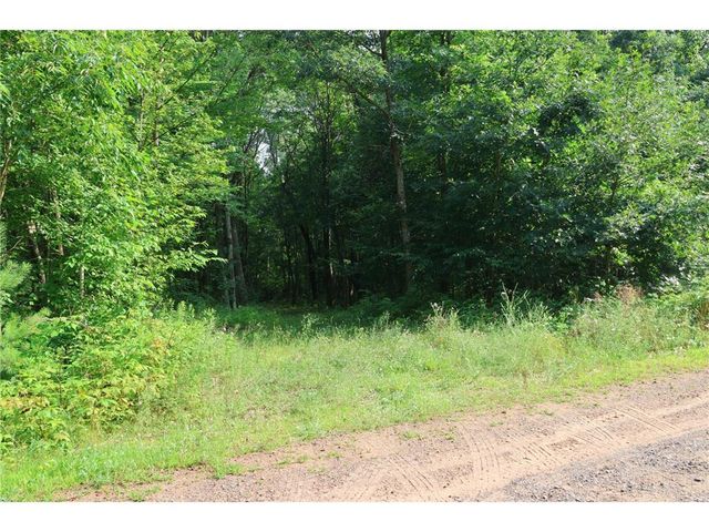 Lot 11 103rd Street, Frederic, WI 54837