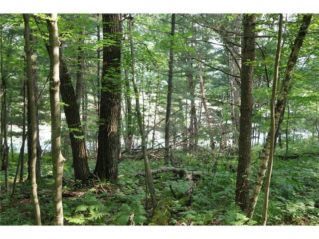 Lot 11 103rd Street, Frederic, WI 54837
