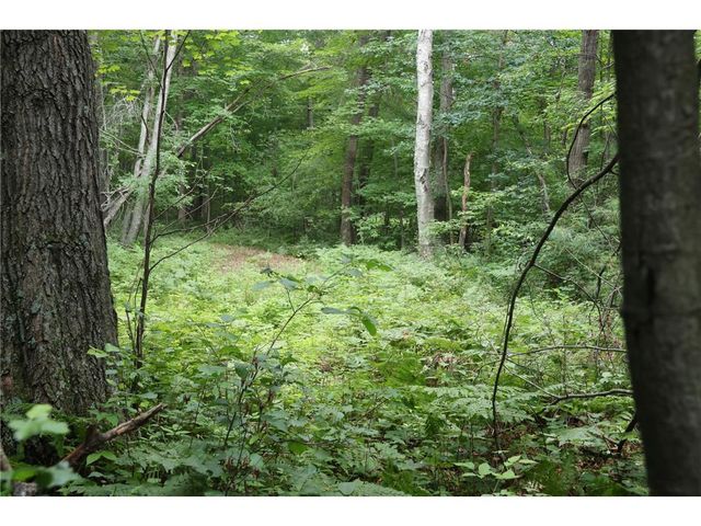 Lot 11 103rd Street, Frederic, WI 54837