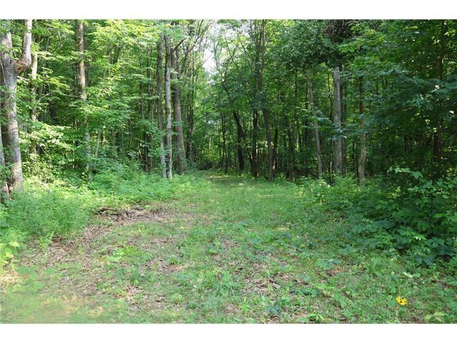 Lot 11 103rd Street, Frederic, WI 54837
