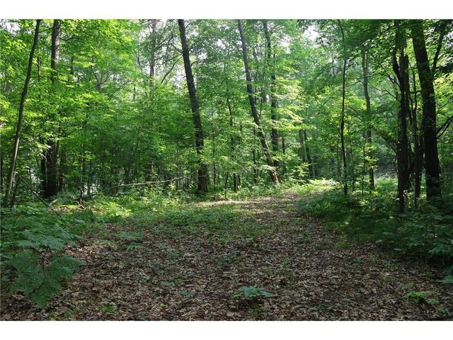 Lot 11 103rd Street, Frederic, WI 54837