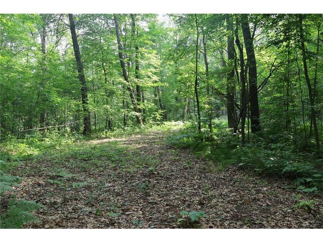 Lot 11 103rd Street, Frederic, WI 54837