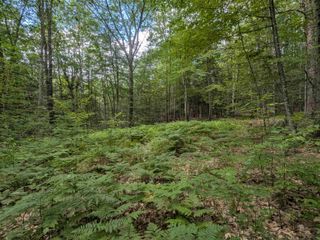 A 66 Burton Highway, Wilton, NH 03086