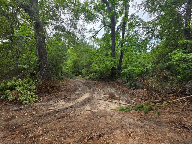 2039 Mcdade Farm Road, Hephzibah, GA 30815