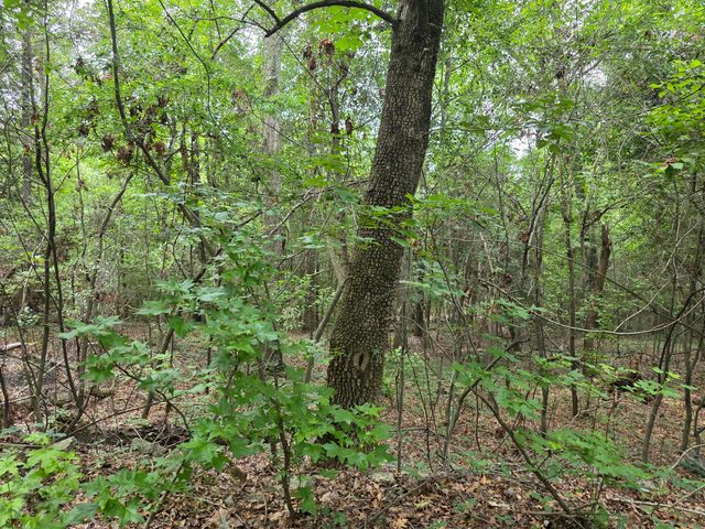 2039 Mcdade Farm Road, Hephzibah, GA 30815