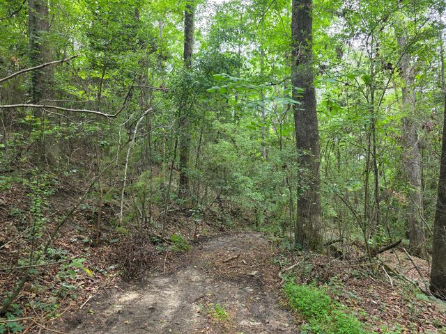 2039 Mcdade Farm Road, Hephzibah, GA 30815