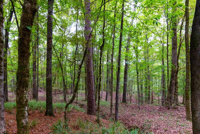 8585 Mckee Road, Upatoi, GA 31829