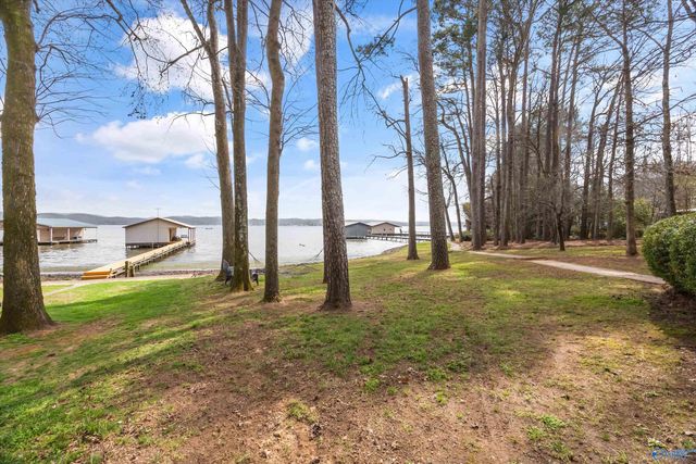 29 Lake Breeze, Guntersville, AL 35976