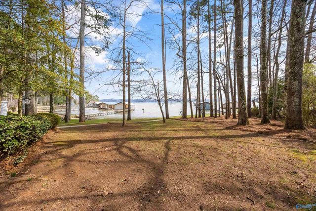 29 Lake Breeze, Guntersville, AL 35976