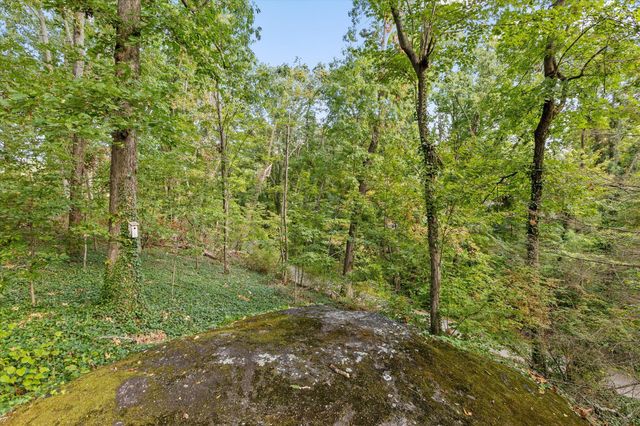 1600 Wood Nymph Trail, Lookout Mountain, GA 30750