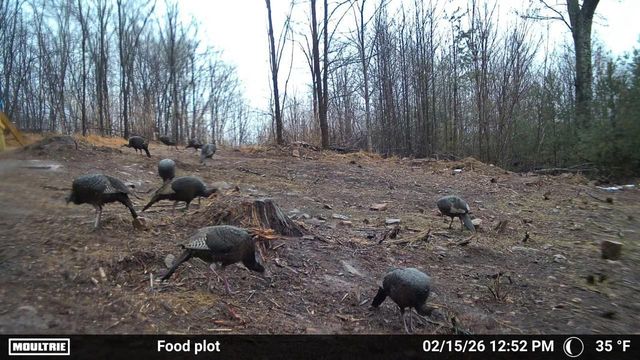 175 Hayden Mountain RD, Boones Mill, VA 24065
