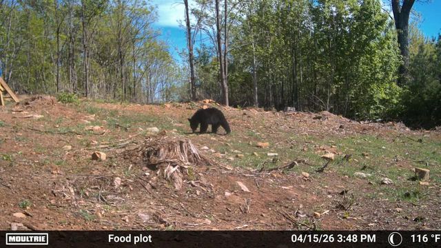 175 Hayden Mountain RD, Boones Mill, VA 24065