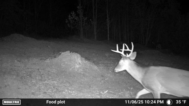 175 Hayden Mountain RD, Boones Mill, VA 24065