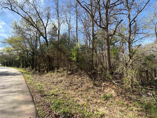 15485 Cr 46, Tyler, TX 75704