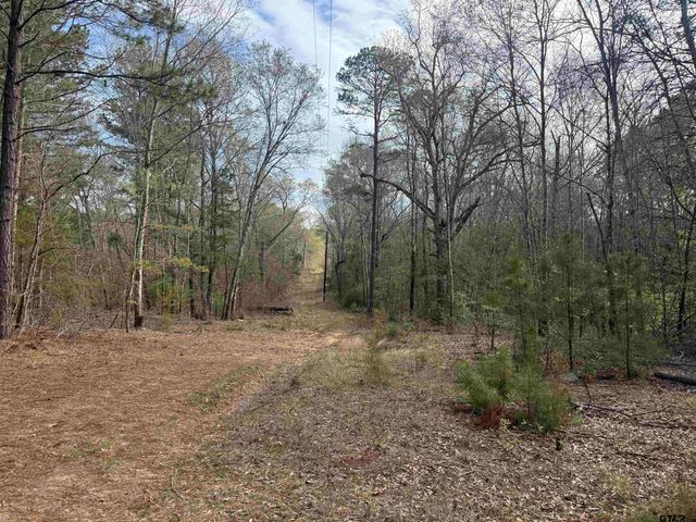 15485 Cr 46, Tyler, TX 75704
