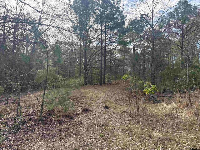 15485 Cr 46, Tyler, TX 75704