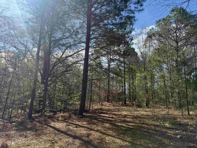 15485 Cr 46, Tyler, TX 75704