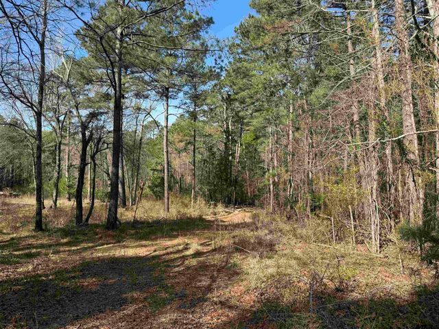 15485 Cr 46, Tyler, TX 75704