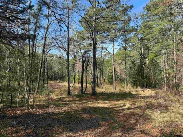 15485 Cr 46, Tyler, TX 75704