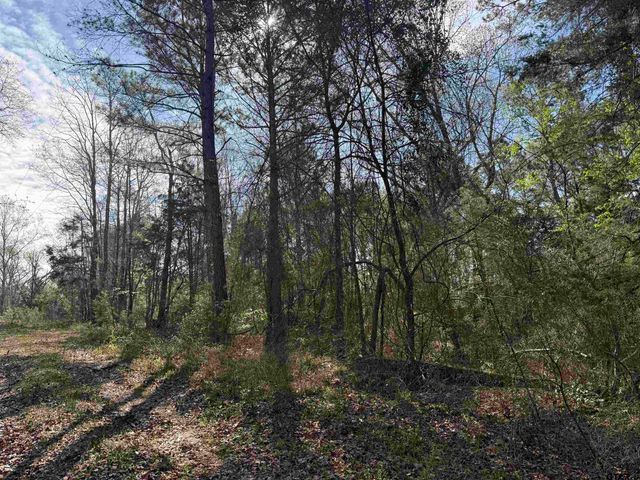 15485 Cr 46, Tyler, TX 75704