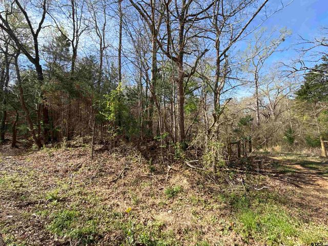 15485 Cr 46, Tyler, TX 75704