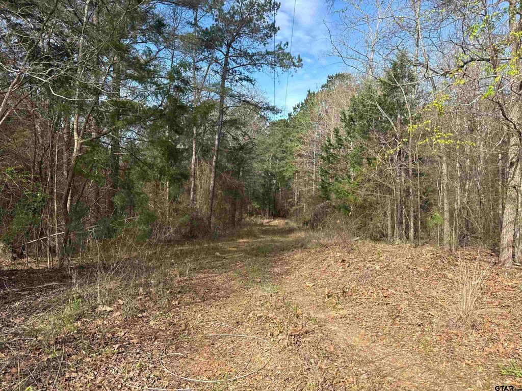 15485 Cr 46, Tyler, TX 75704