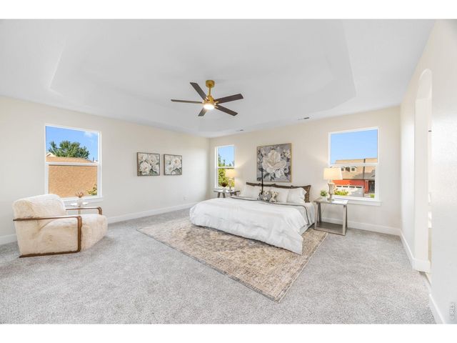 1555 Benfleet Ct, Windsor, CO 80550