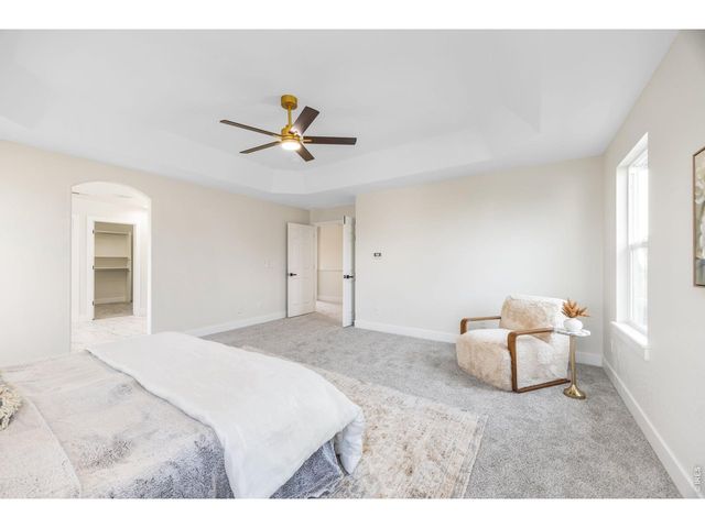 1555 Benfleet Ct, Windsor, CO 80550
