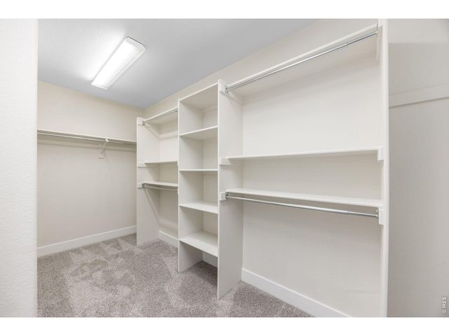 1555 Benfleet Ct, Windsor, CO 80550