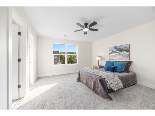 1555 Benfleet Ct, Windsor, CO 80550