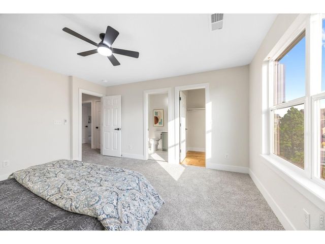 1555 Benfleet Ct, Windsor, CO 80550