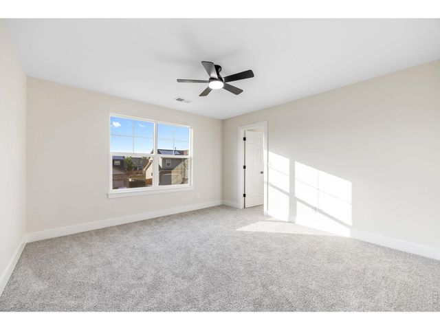 1555 Benfleet Ct, Windsor, CO 80550