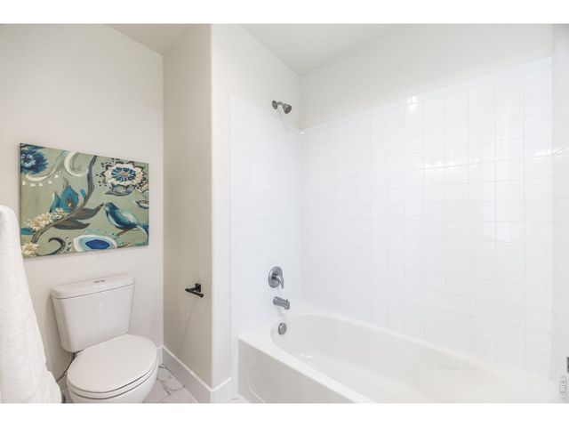 1555 Benfleet Ct, Windsor, CO 80550