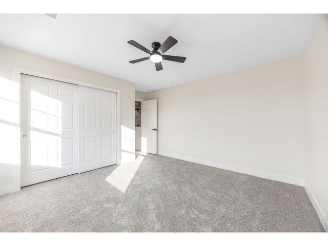 1555 Benfleet Ct, Windsor, CO 80550
