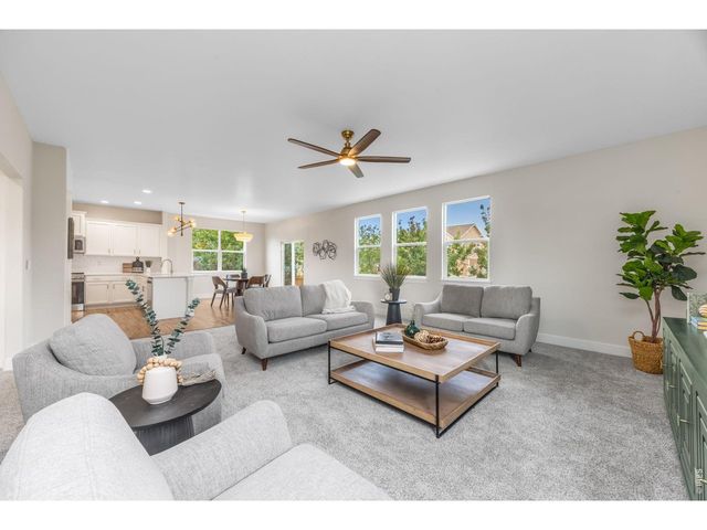 1555 Benfleet Ct, Windsor, CO 80550