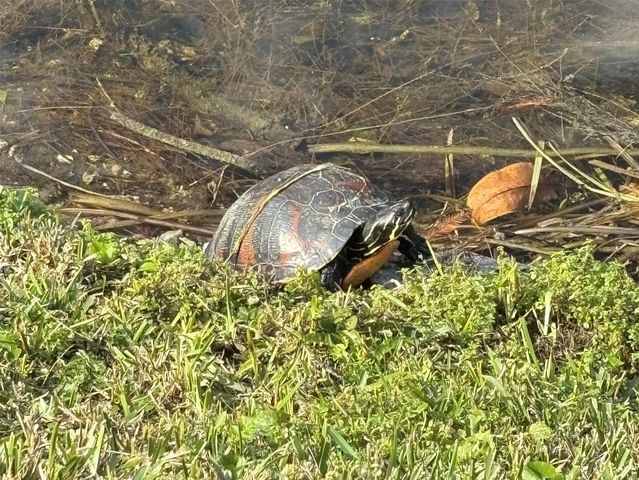 2819 NW 52nd Court, Tamarac, FL 33309