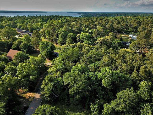 7 Dairyland, Willis, TX 77318