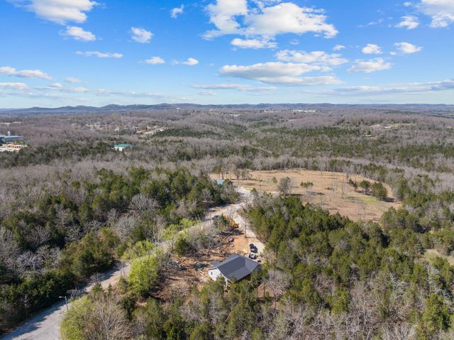 280 Swan Valley Drive, Forsyth, MO 65653