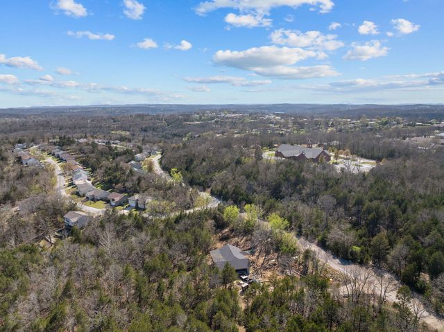 280 Swan Valley Drive, Forsyth, MO 65653