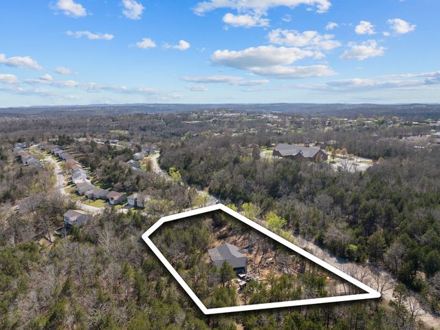 280 Swan Valley Drive, Forsyth, MO 65653