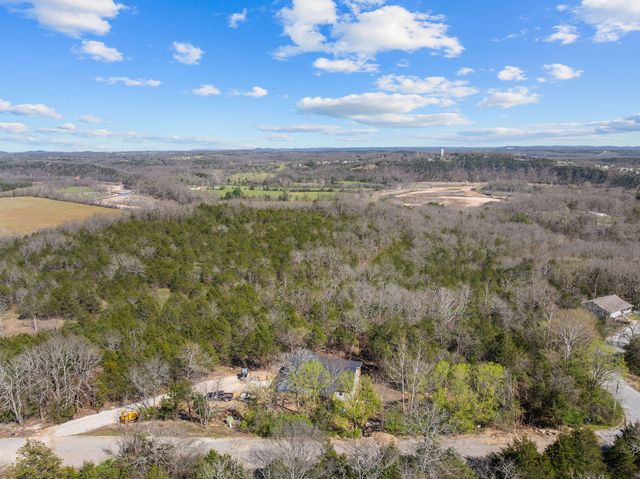 280 Swan Valley Drive, Forsyth, MO 65653